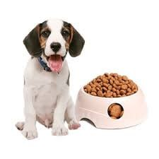 Perlengkapan Hewan Peliharaan