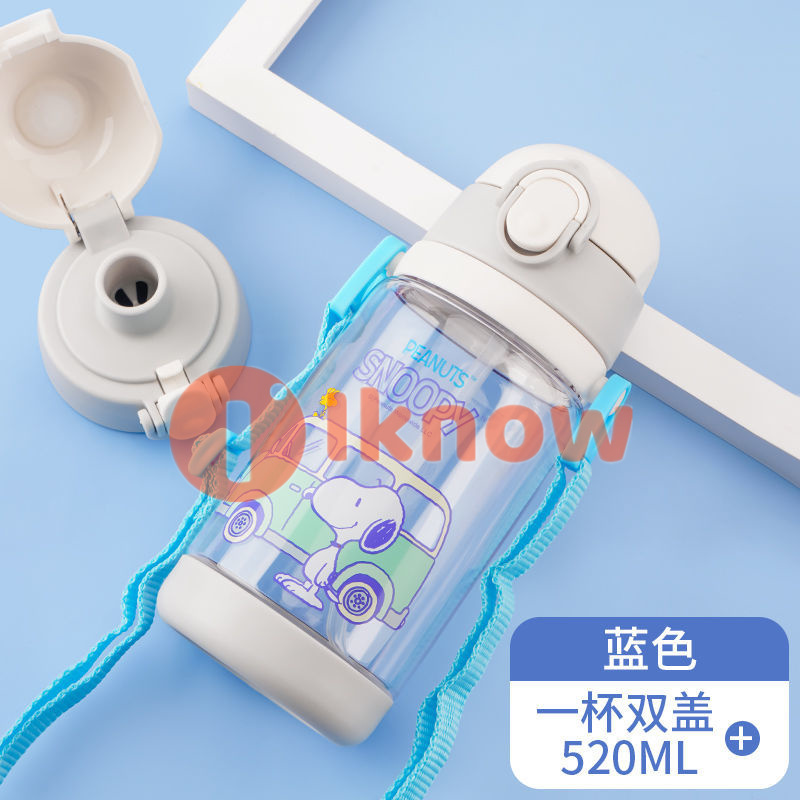 I know Frozen Kids Water Bottle 2in1 Straw+Direct Drink Interchangeable BPA-free 520ml elsa