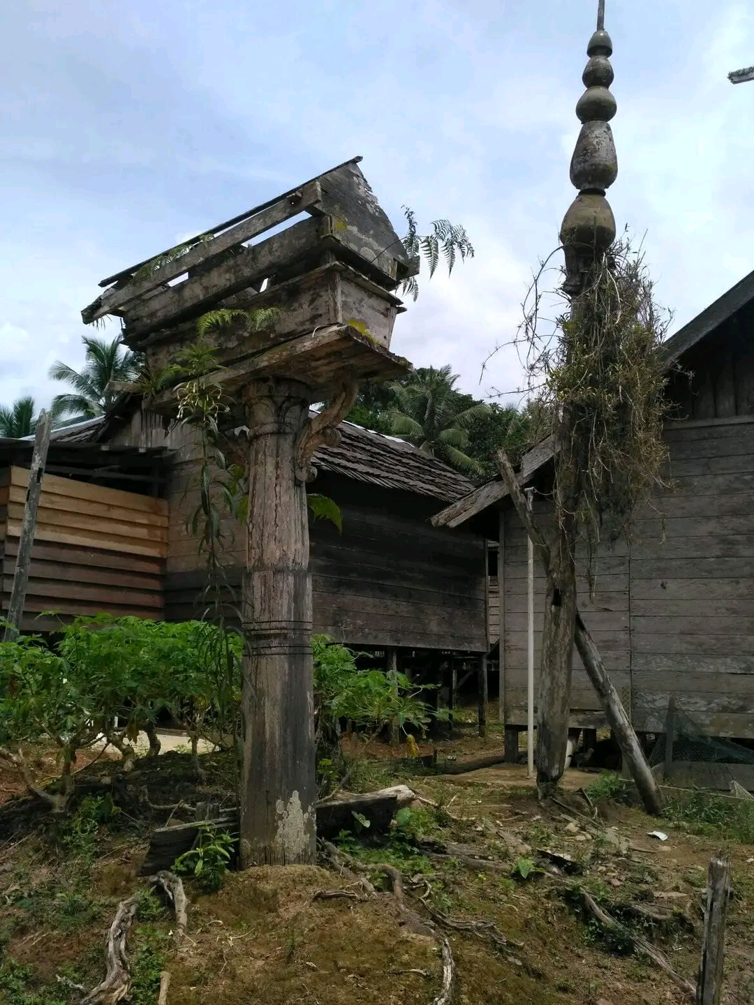 Fahriwan